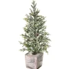 22" Frosted Mini Fir Tree| Online