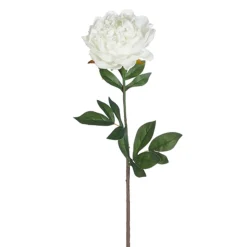 25" Real Touch White Peony Stem| New