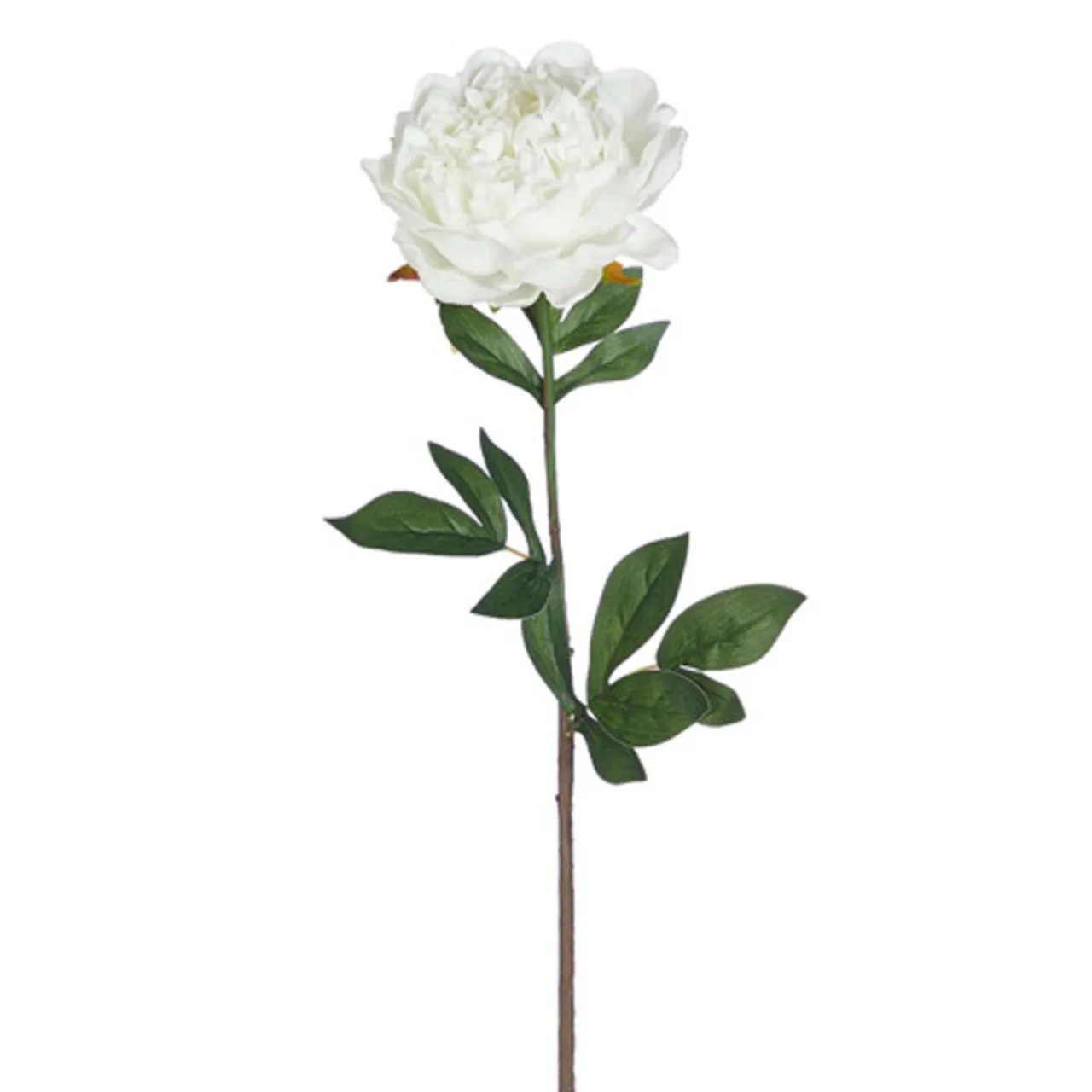 25" Real Touch White Peony Stem| New