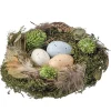 Aviary Bird Nest with Eggs 6"| Online
