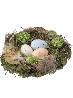 Aviary Bird Nest with Eggs 6"| Online