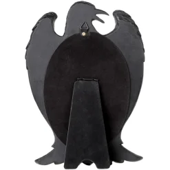 Black Raven Mirror| Best