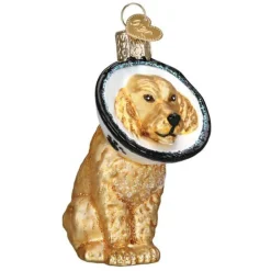 Cone Of Shame Injured Dog Blown Glass Ornament|Old World Glass New