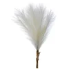 Cream Feather Pampas Grass Bundle| Outlet