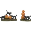 - Halloween Village - Scary Cats Pumpkins Set Of 2|Department 56 Outlet