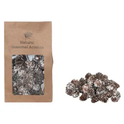 Dried Natural Snow Finish Pinecones in Bag| Best