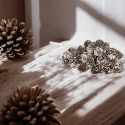 Dried Natural Snow Finish Pinecones in Bag| Best