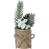Festive Pine and White Berries In Burlap| New