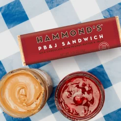Hammond's Candies PB &amp; J Sandwich Milk Chocolate Candy Bar| New