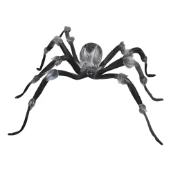 Jewel Eyed Spider| Best