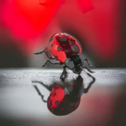 Ladybug Ornament| New