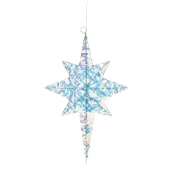 LED Large Star Ornament| Hot