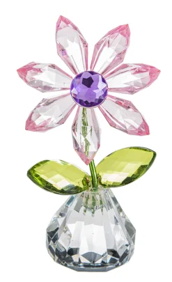 Light Pink Happy Flower Petal| Best