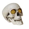 Light Up Skull w/Sound| Sale