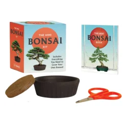 Mini Bonsai Kit| Online