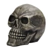 Oversized Skeleton Skull Figurine| New