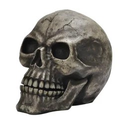 Oversized Skeleton Skull Figurine| New