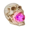 Skull Mouth Plasma Globe| New