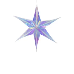 Small Iridescent Star Ornament| Discount
