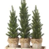 Triple Potted Pine Seedling Tray| Discount