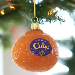 You are a Cutie Orange Fruit Ornament|Cody Foster & Co. Sale